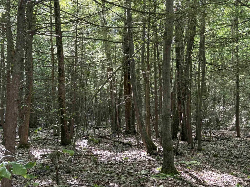 Lot 85 Currier Road Candia NH 03034