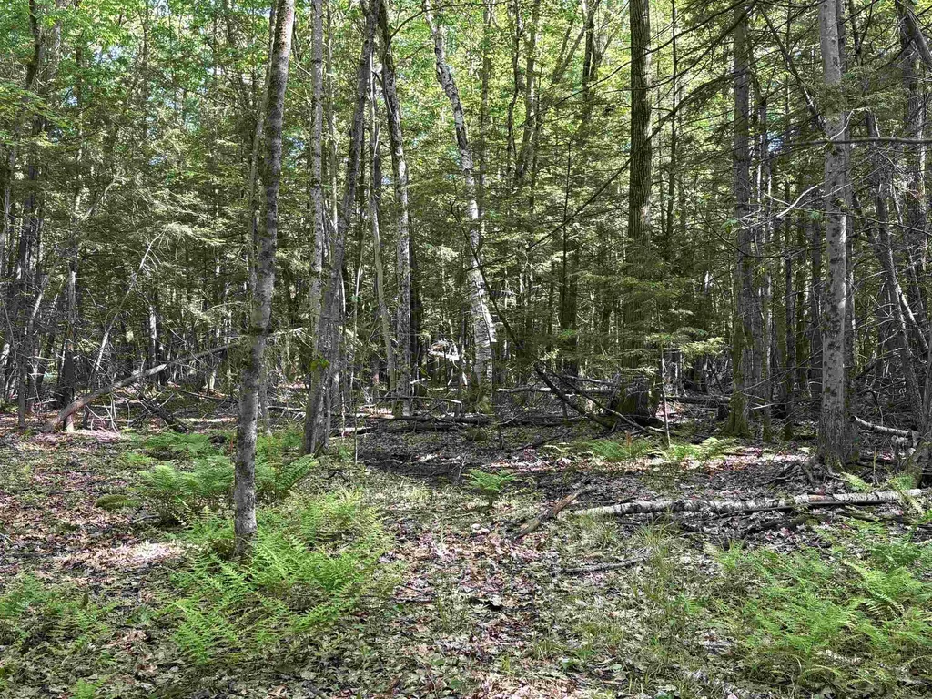 Lot 85 Currier Road Candia NH 03034