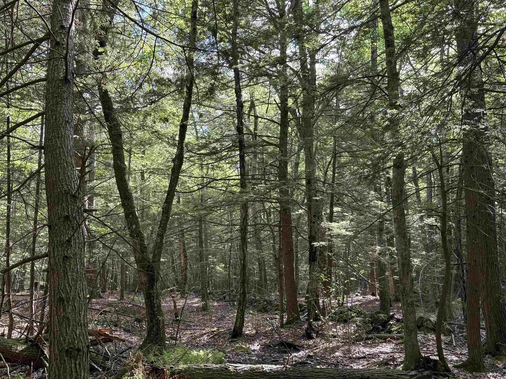 Lot 85 Currier Road Candia NH 03034