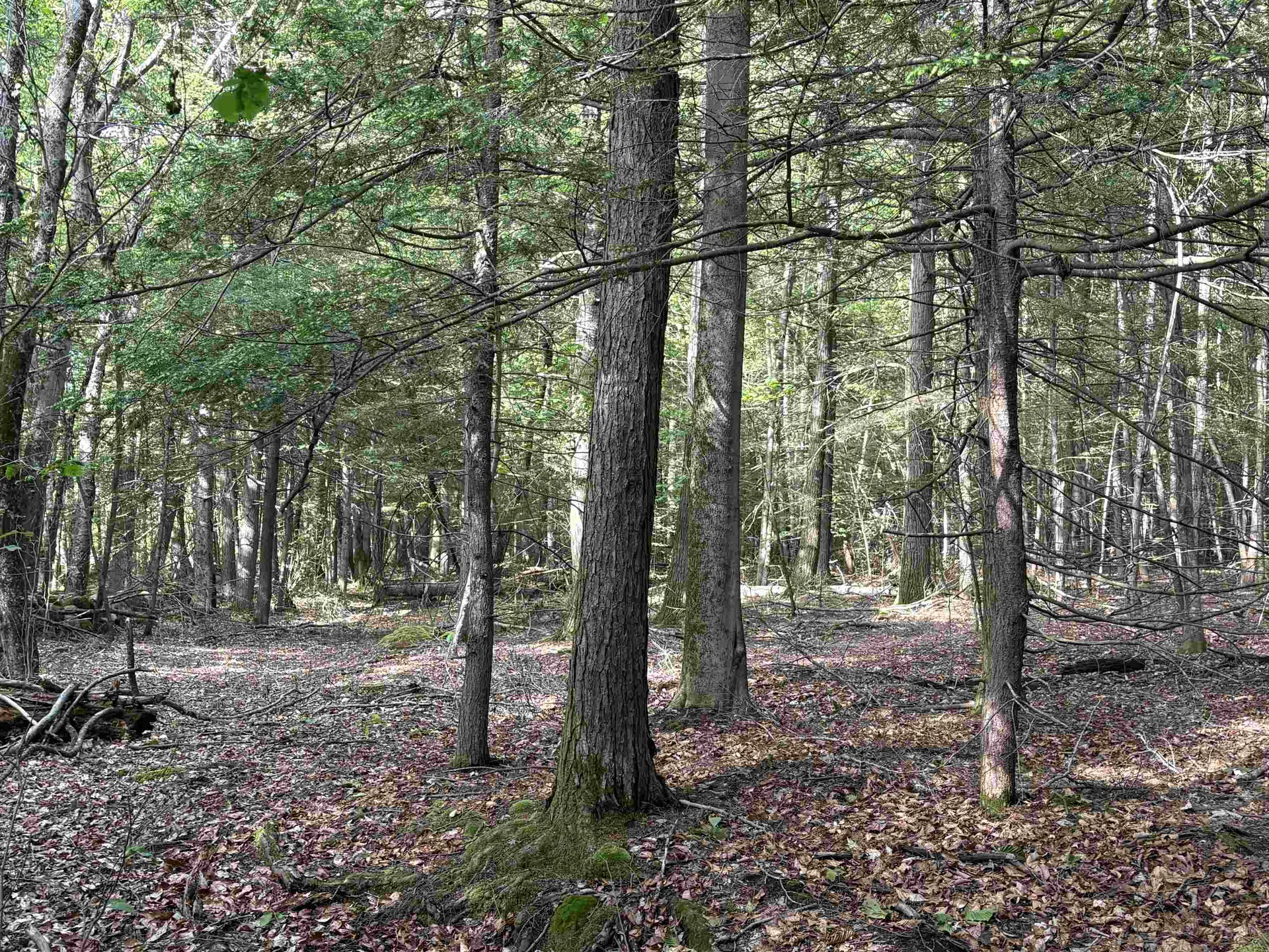 Lot 85 Currier Road Candia NH 03034