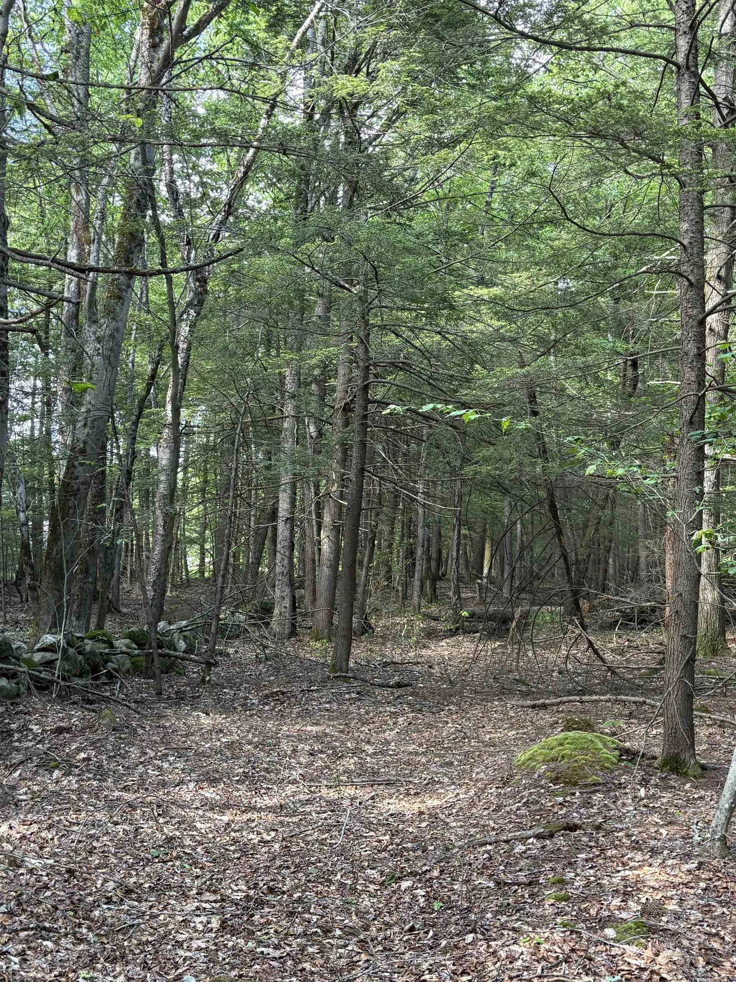 Lot 85 Currier Road Candia NH 03034