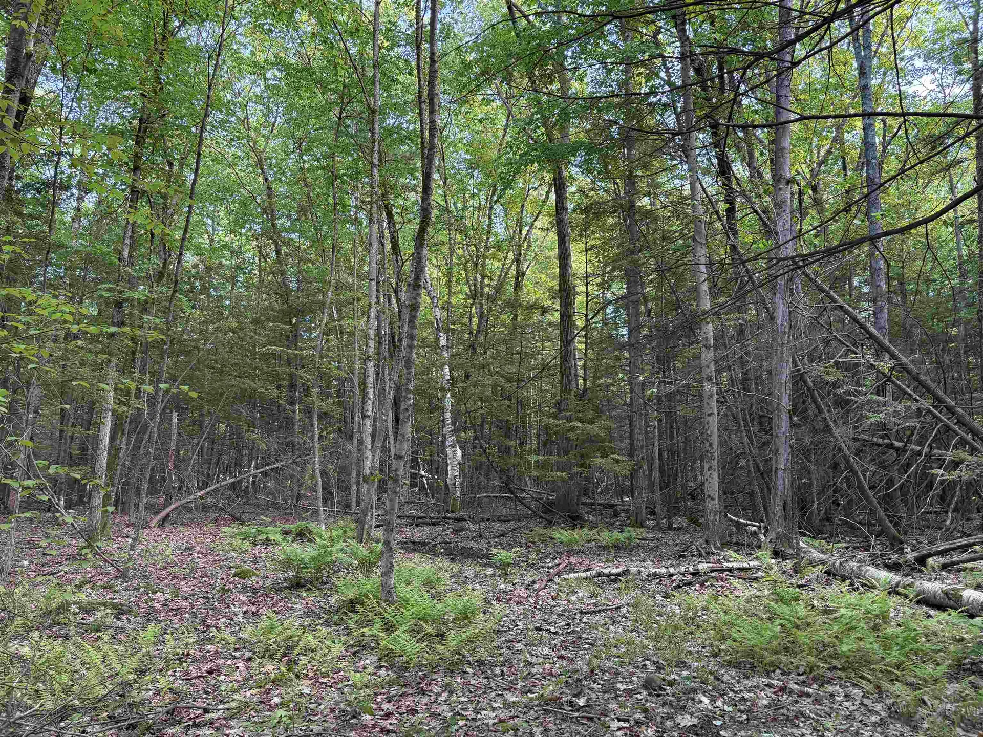 Lot 85 Currier Road Candia NH 03034