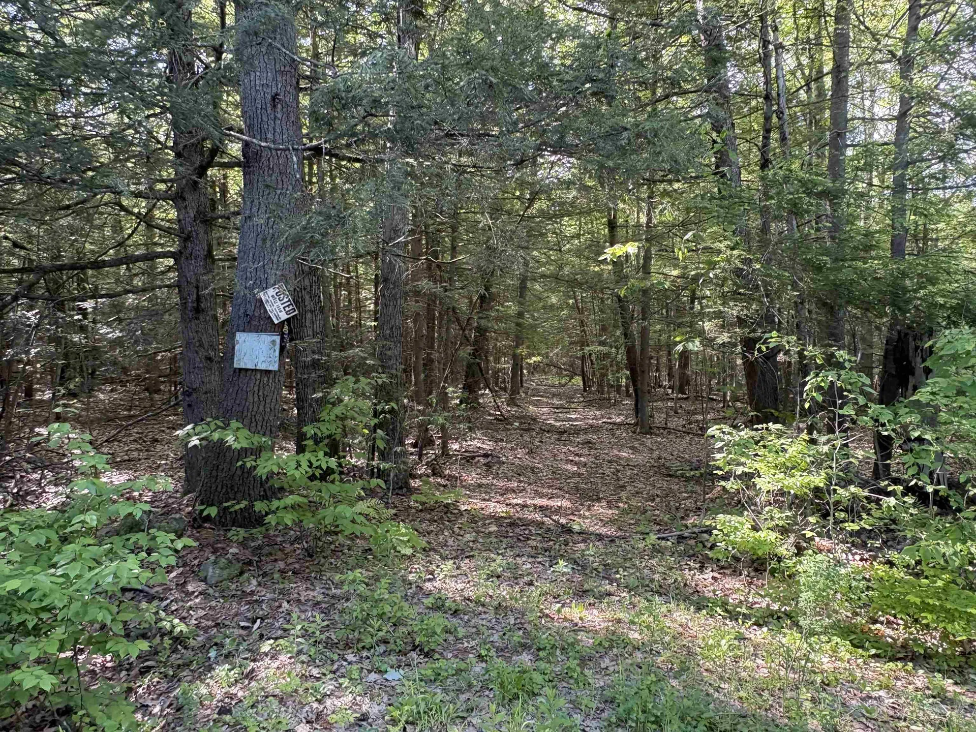 Lot 85 Currier Road Candia NH 03034