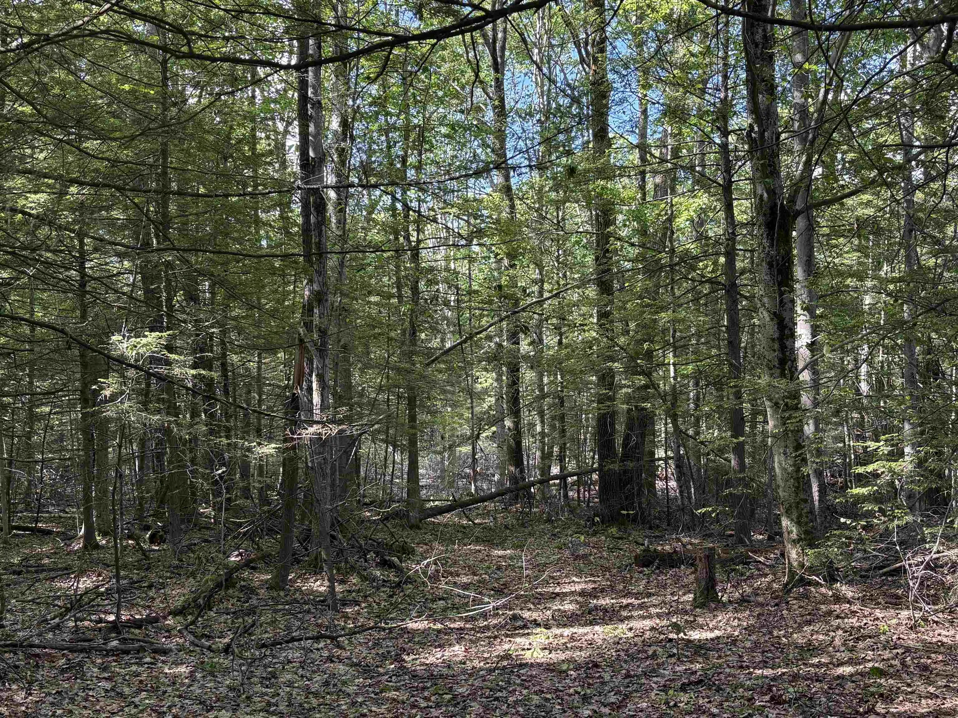 Lot 85 Currier Road Candia NH 03034