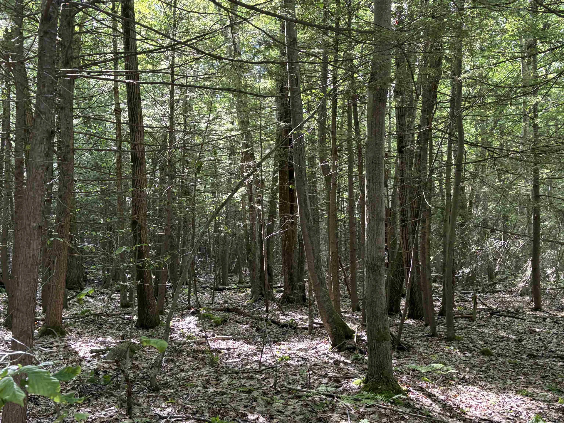 Lot 85 Currier Road Candia NH 03034