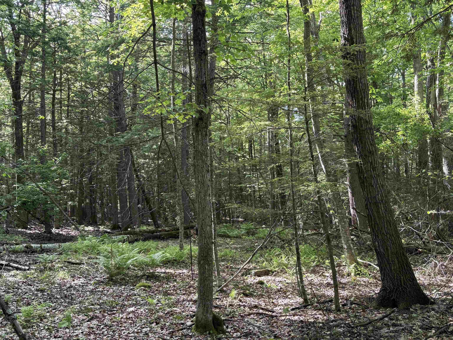 Lot 85 Currier Road Candia NH 03034