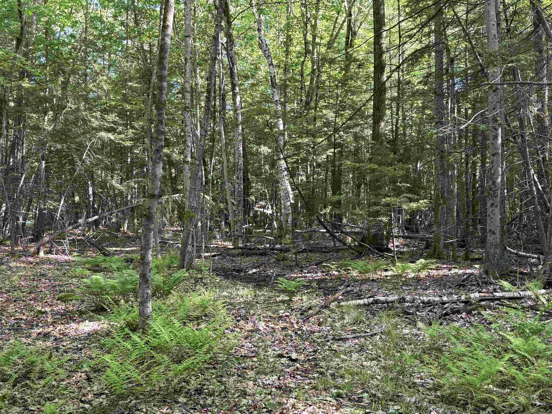 Lot 85 Currier Road Candia NH 03034
