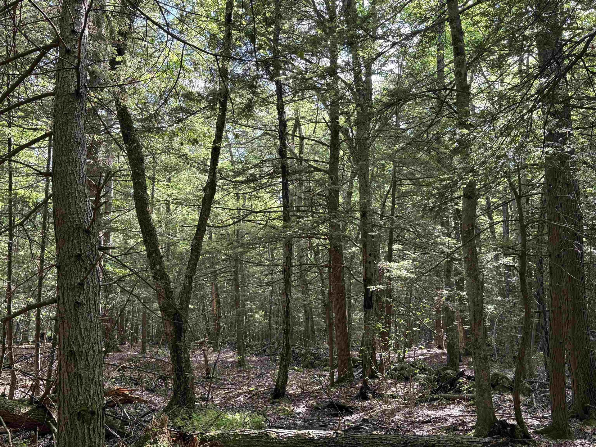 Lot 85 Currier Road Candia NH 03034