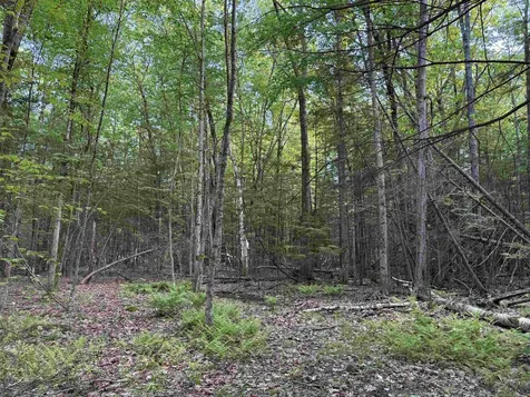 Lot 85 Currier Road Candia NH 03034