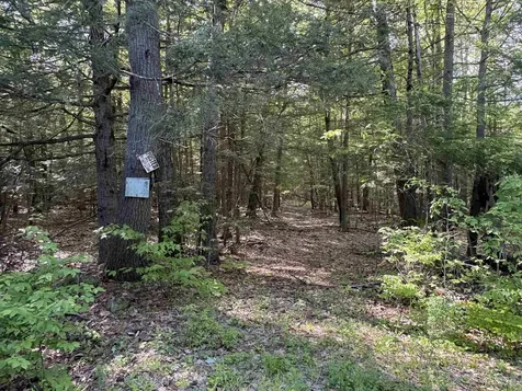 Lot 85 Currier Road Candia NH 03034