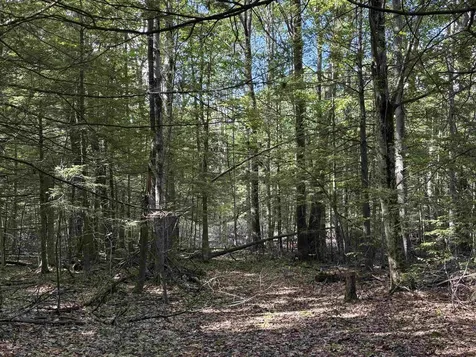 Lot 85 Currier Road Candia NH 03034
