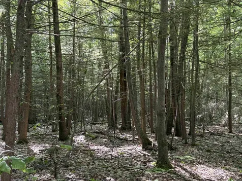 Lot 85 Currier Road Candia NH 03034
