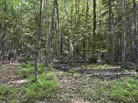 Lot 85 Currier Road Candia NH 03034