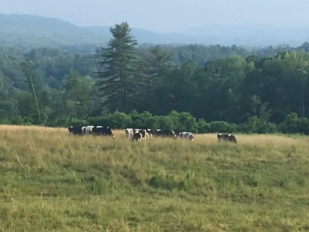 48 Pine Ridge Vernon VT 05354