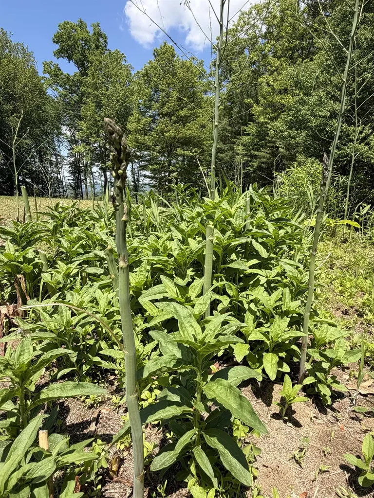 48 Pine Ridge Vernon VT 05354