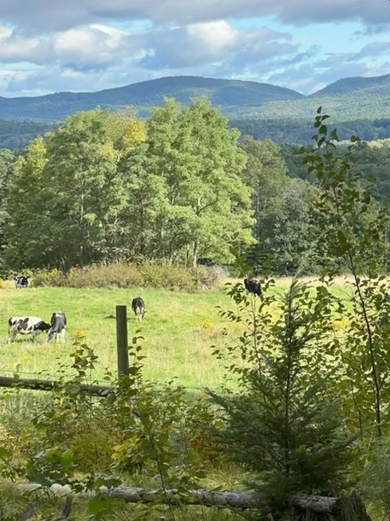 48 Pine Ridge Vernon VT 05354