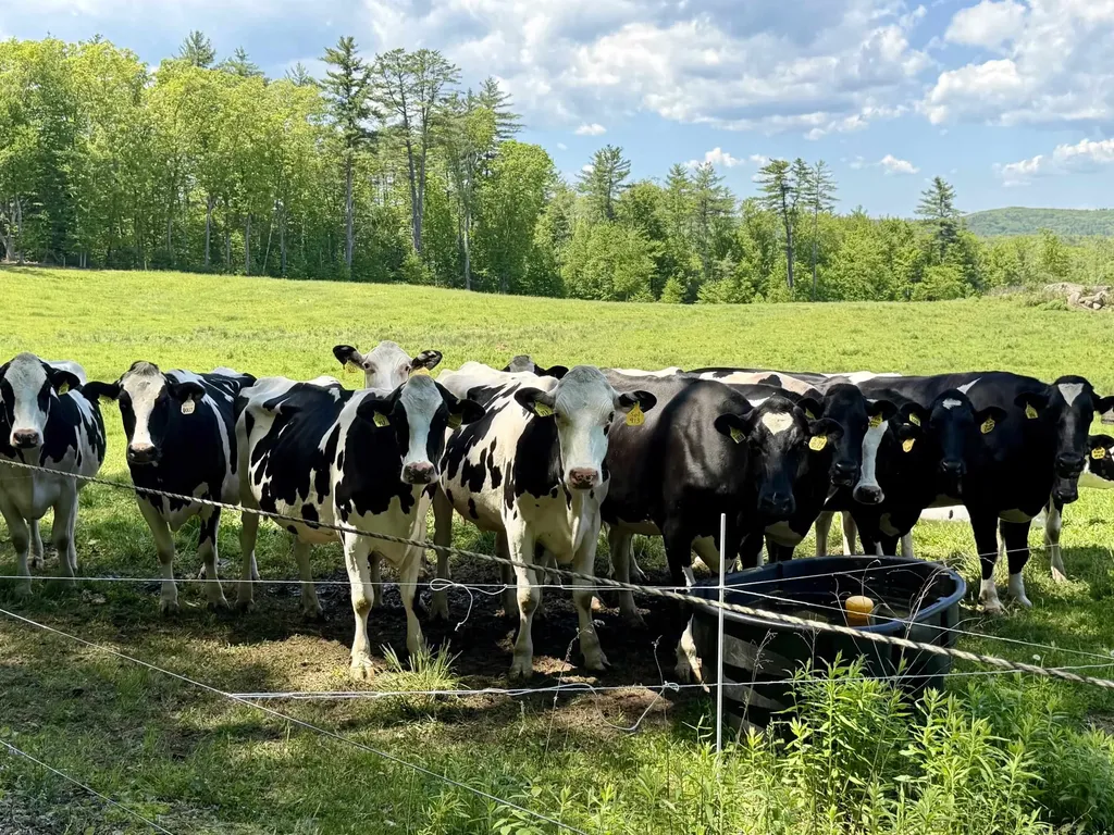 48 Pine Ridge Vernon VT 05354