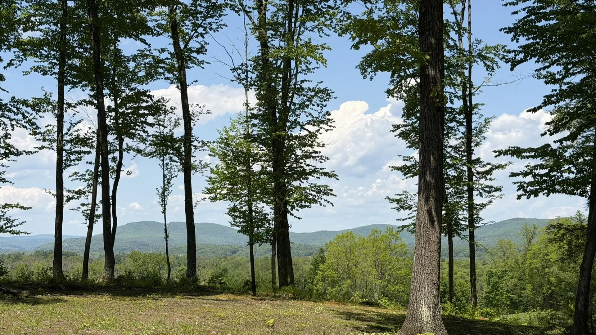 48 Pine Ridge Vernon VT 05354