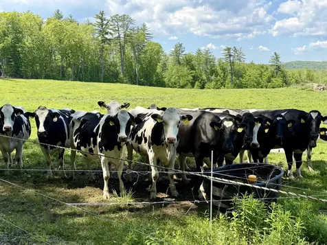 48 Pine Ridge Vernon VT 05354