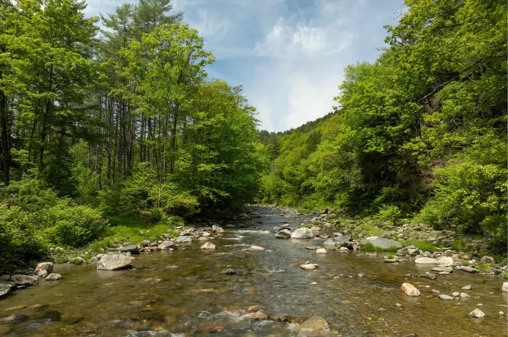 142 Dover Road Newfane VT 05345