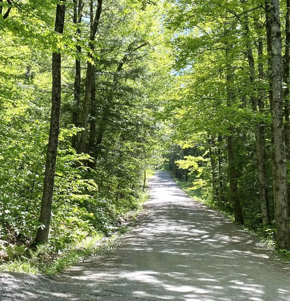 1041 Church Hollow Road Marlboro VT 05301