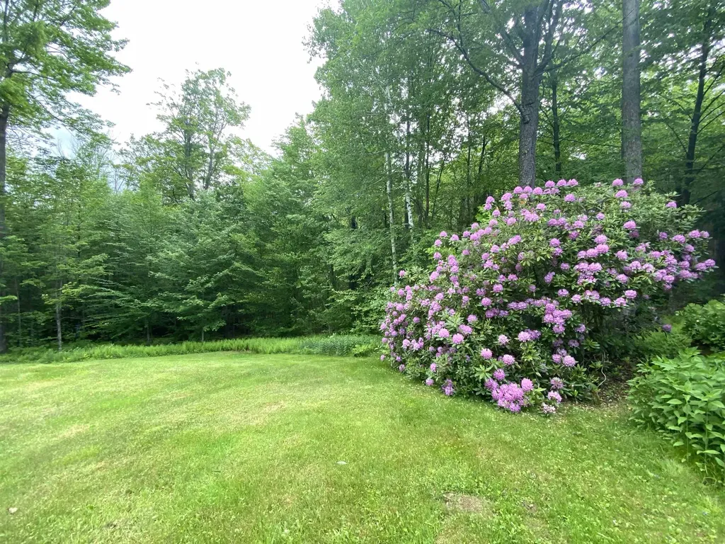 1041 Church Hollow Road Marlboro VT 05301