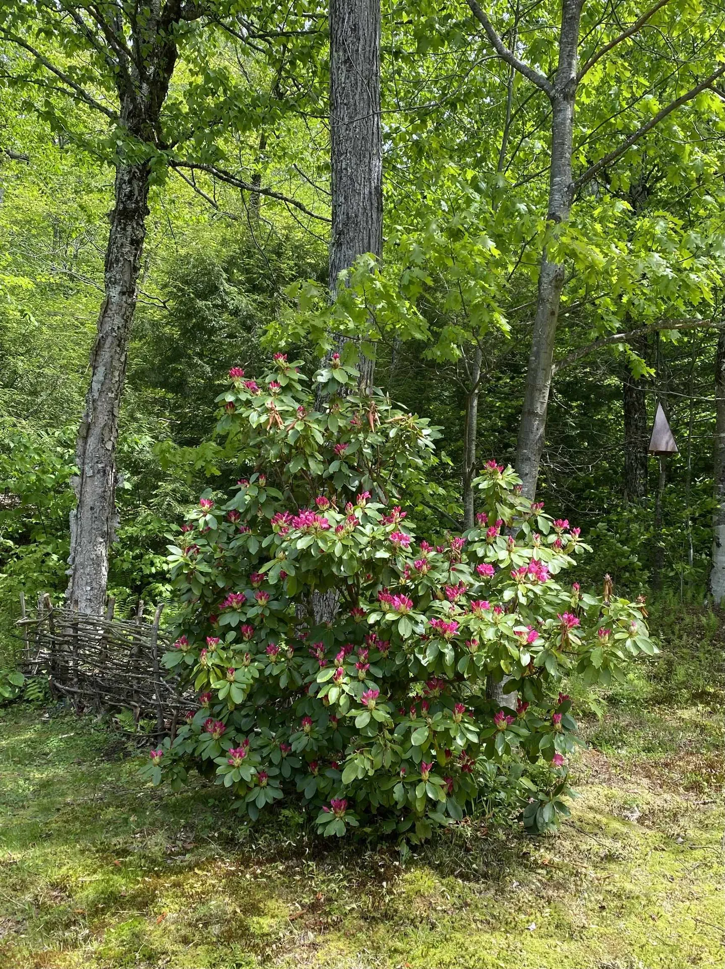 1041 Church Hollow Road Marlboro VT 05301
