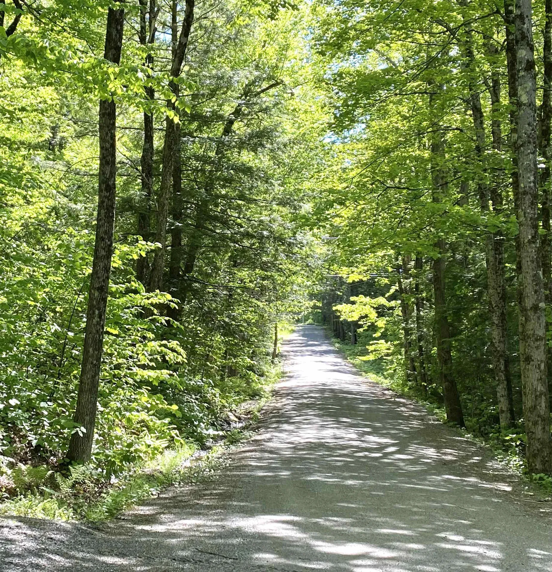 1041 Church Hollow Road Marlboro VT 05301