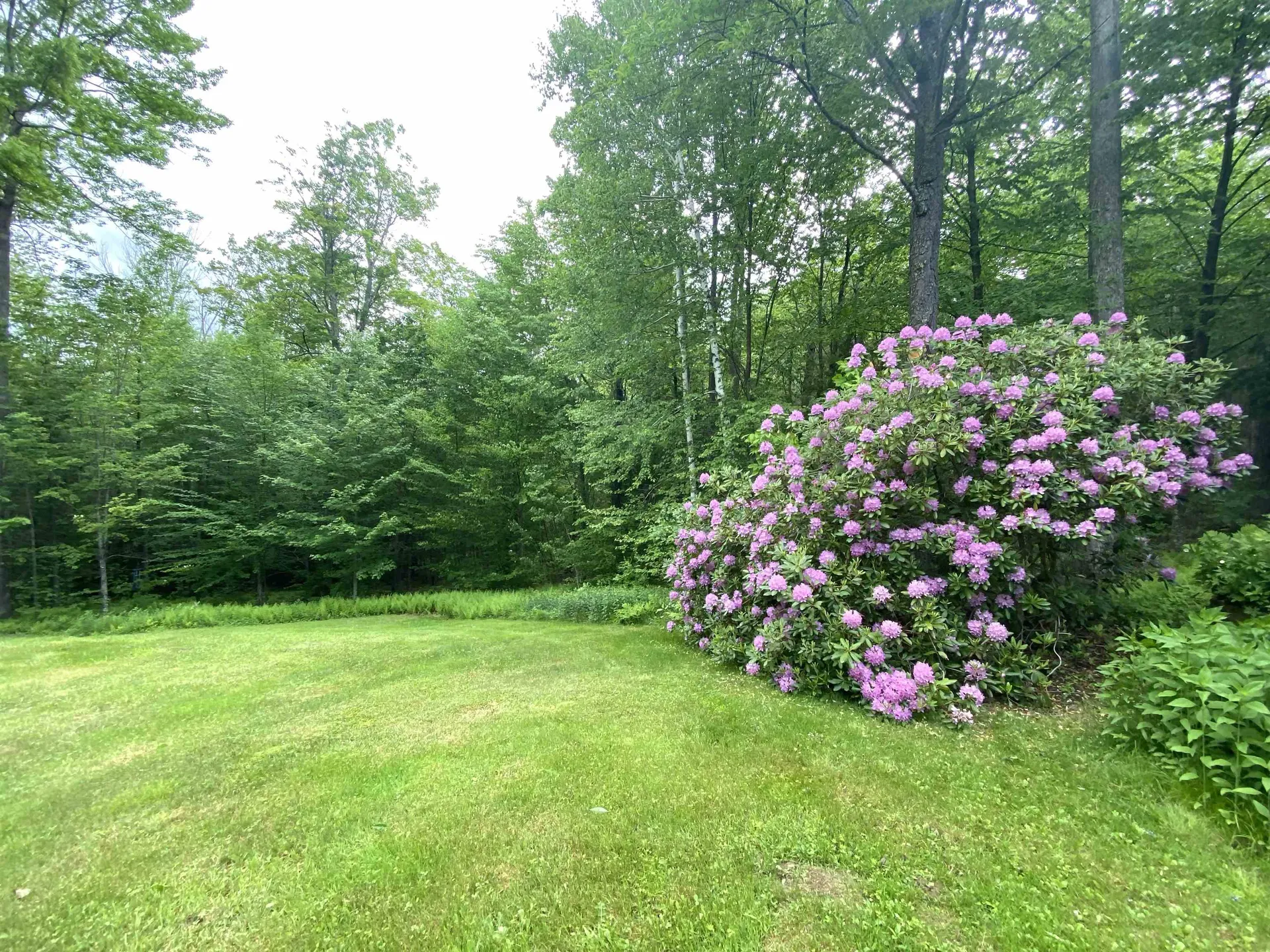 1041 Church Hollow Road Marlboro VT 05301