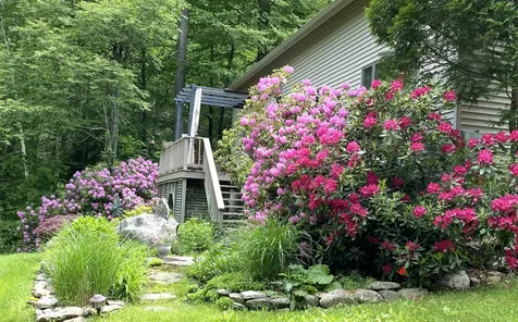 1041 Church Hollow Road Marlboro VT 05301