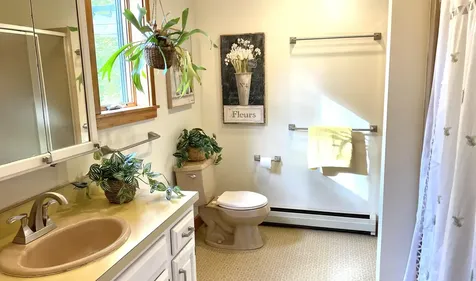 1041 Church Hollow Road Marlboro VT 05301