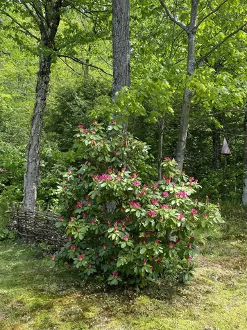 1041 Church Hollow Road Marlboro VT 05301