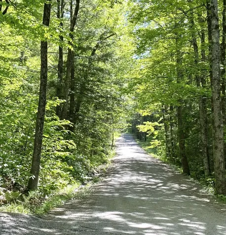 1041 Church Hollow Road Marlboro VT 05301