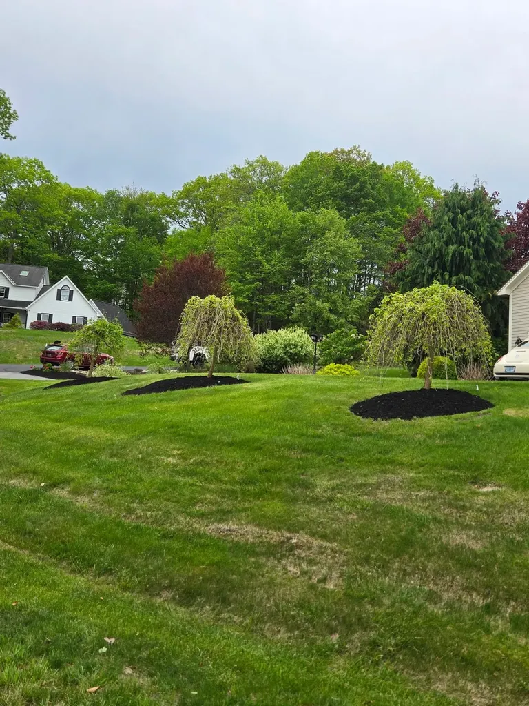 22 Phillip Drive Chesterfield NH 03462