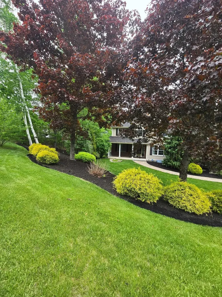 22 Phillip Drive Chesterfield NH 03462
