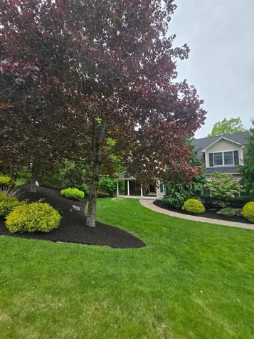 22 Phillip Drive Chesterfield NH 03462
