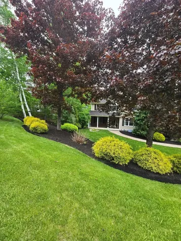 22 Phillip Drive Chesterfield NH 03462