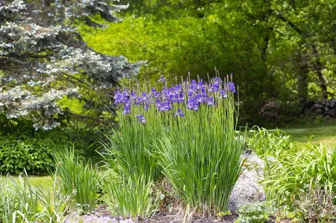 860 Briar Hill Road Hopkinton NH 03229
