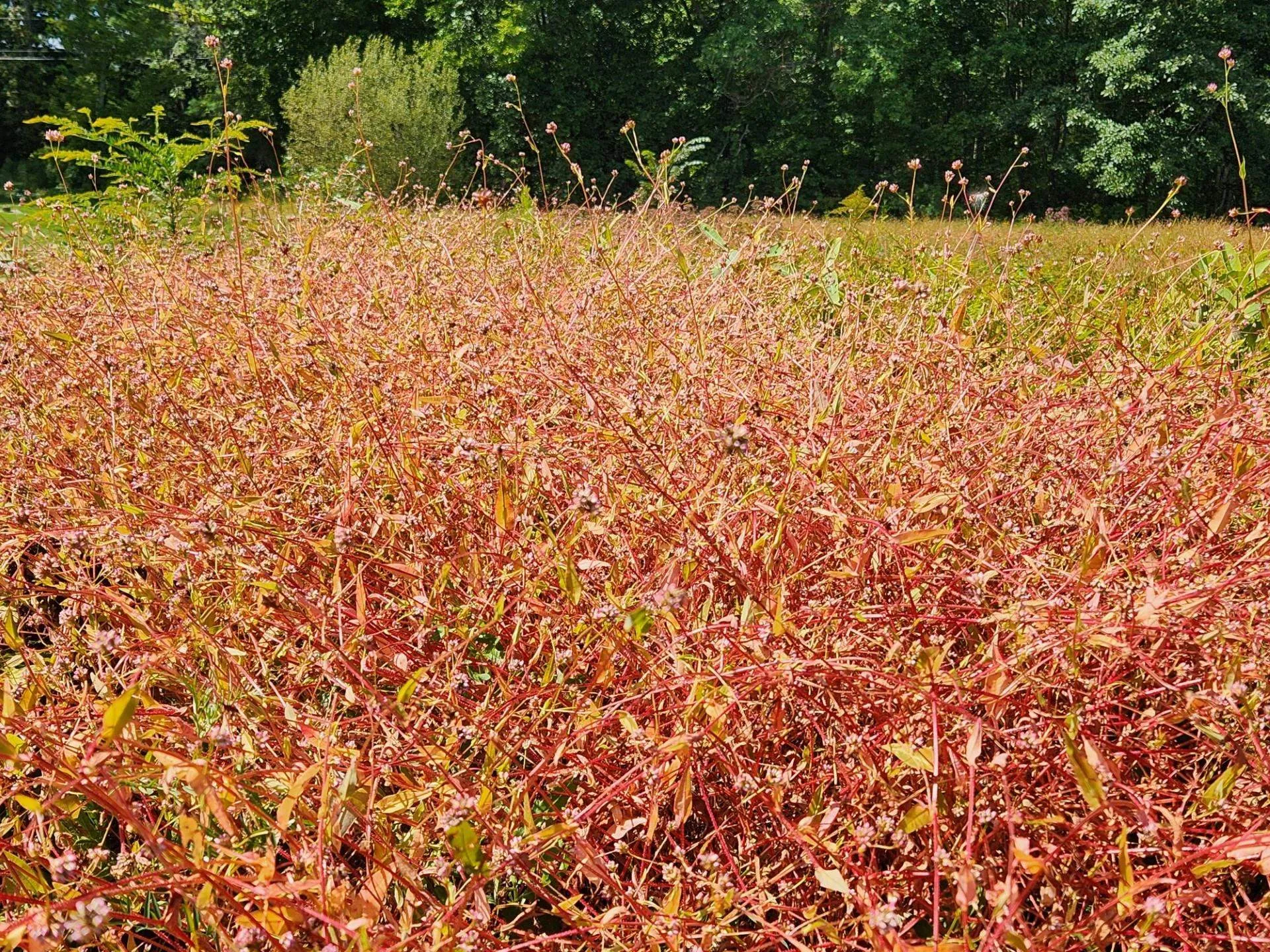 7-9 Mill Hill Road Madbury NH 03823