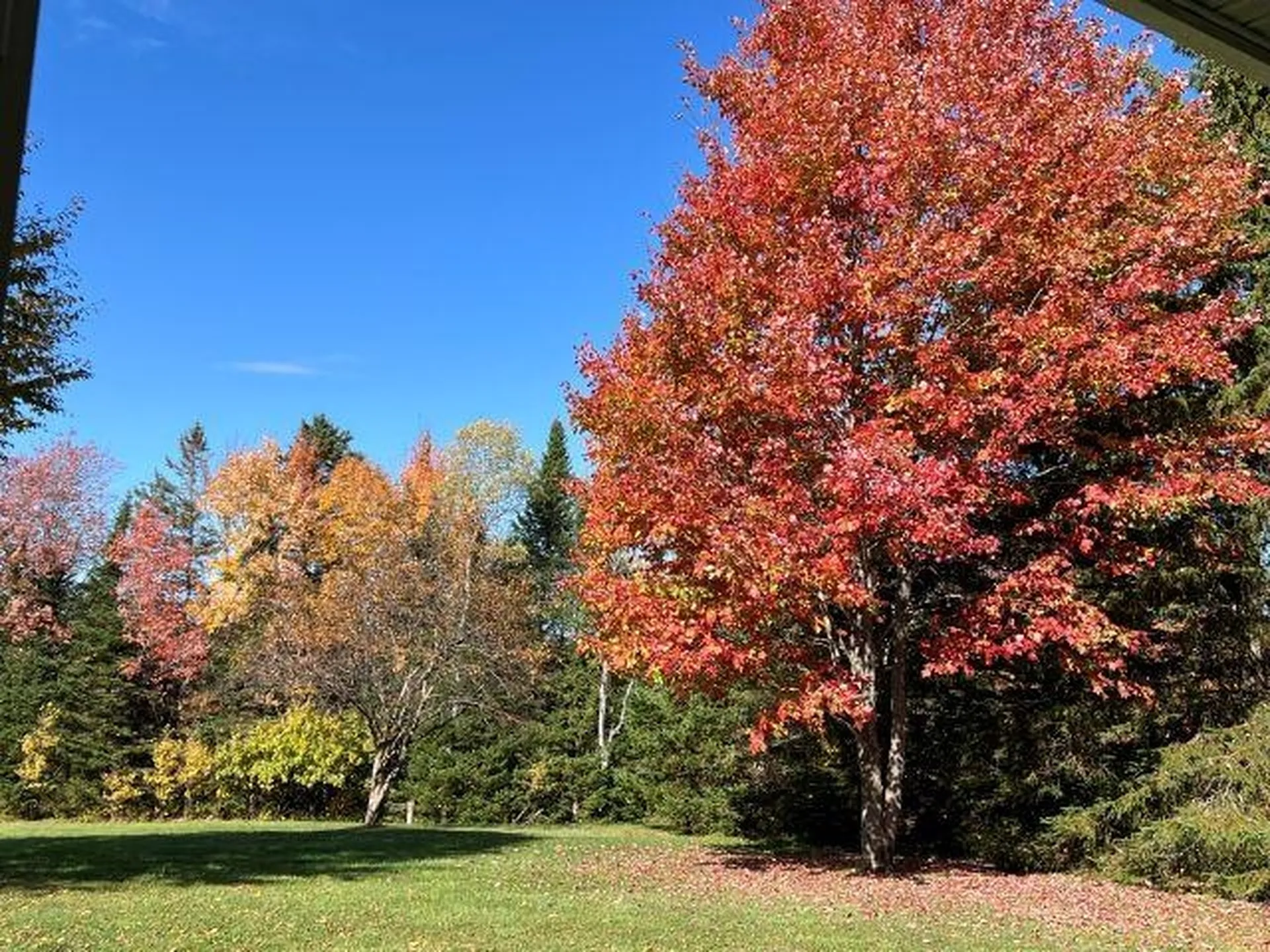12 Harry's Way Colebrook NH 03576