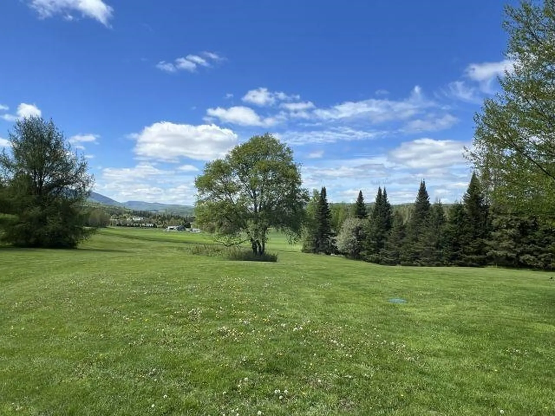 12 Harry's Way Colebrook NH 03576