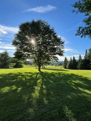 12 Harry's Way Colebrook NH 03576