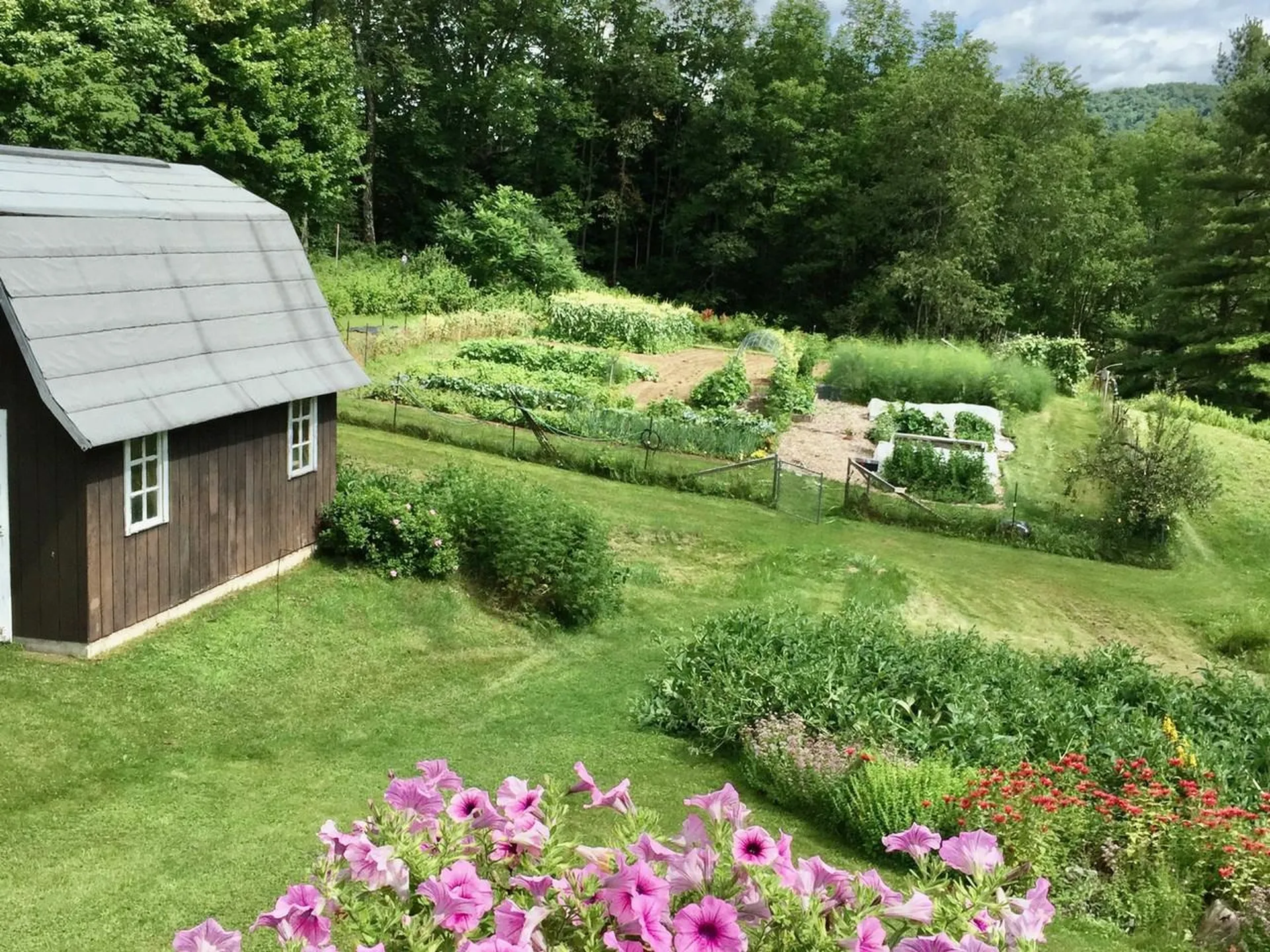 12 Briar Patch Lane Underhill VT 05489