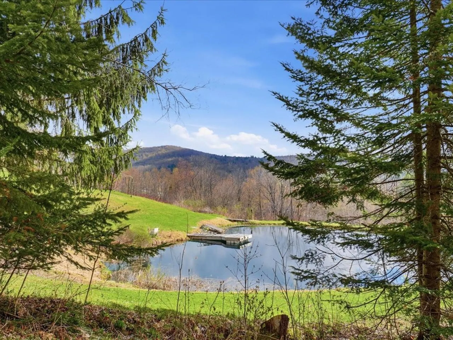 12 Briar Patch Lane Underhill VT 05489
