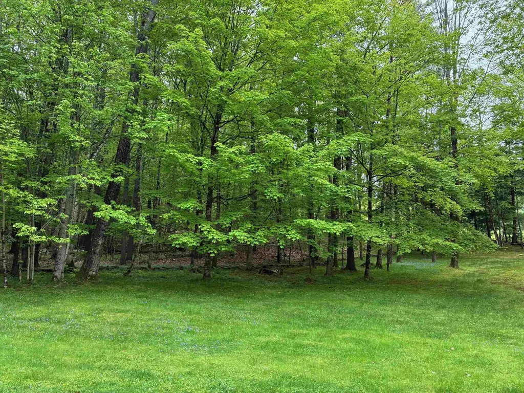 5 Grant Road Hanover NH 03755