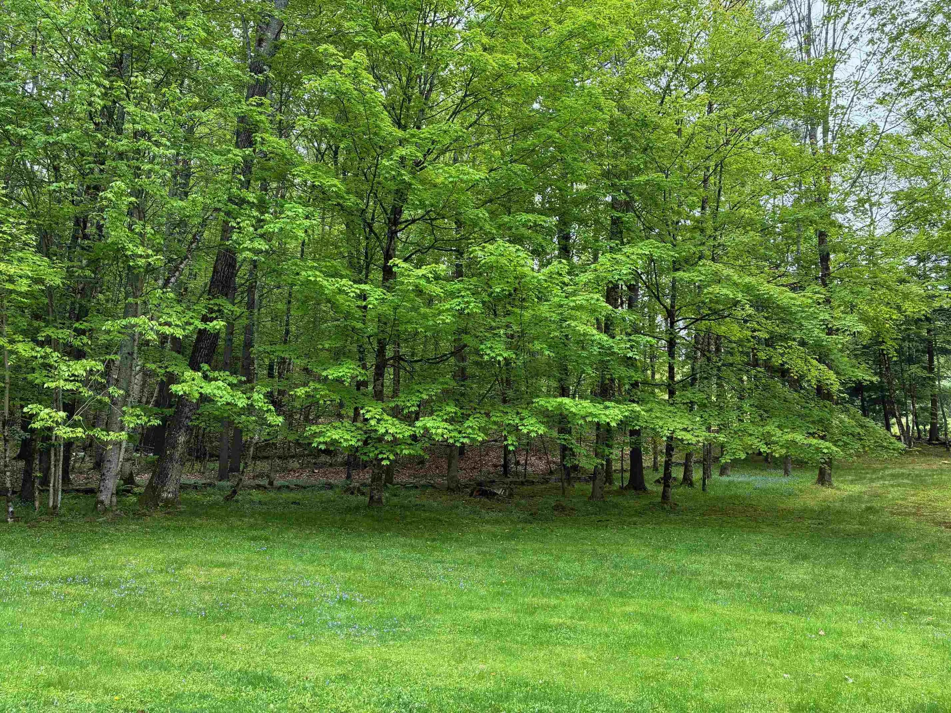 5 Grant Road Hanover NH 03755