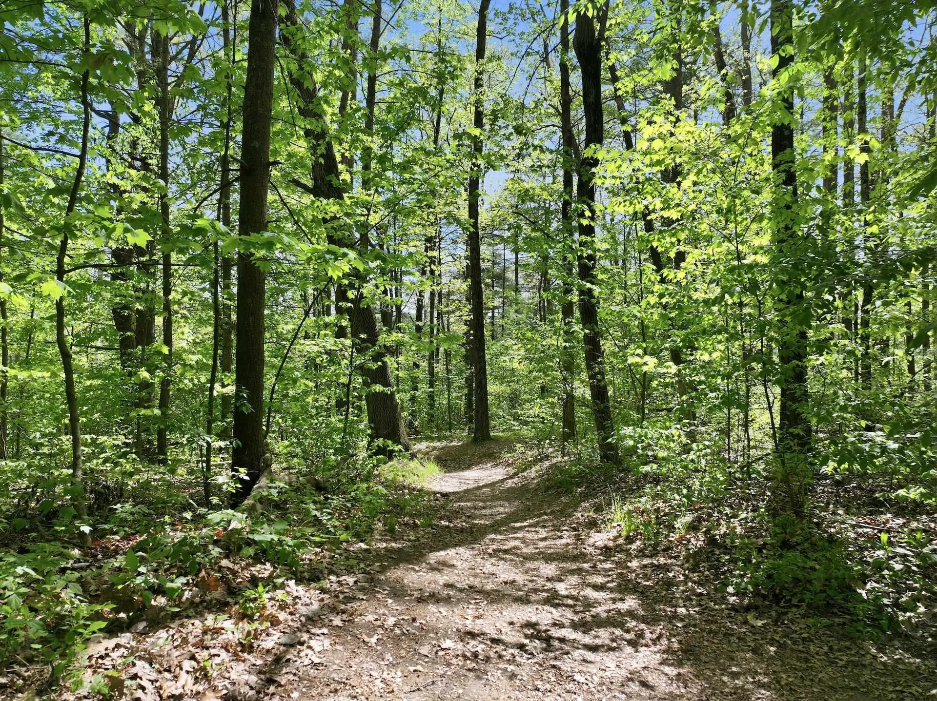 13 Kimberly Drive Essex Junction VT 05452