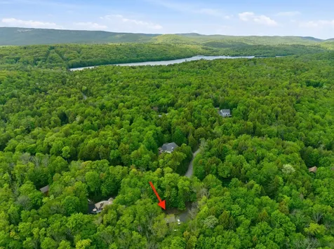8 Whitetail Ridge Springfield NH 03284