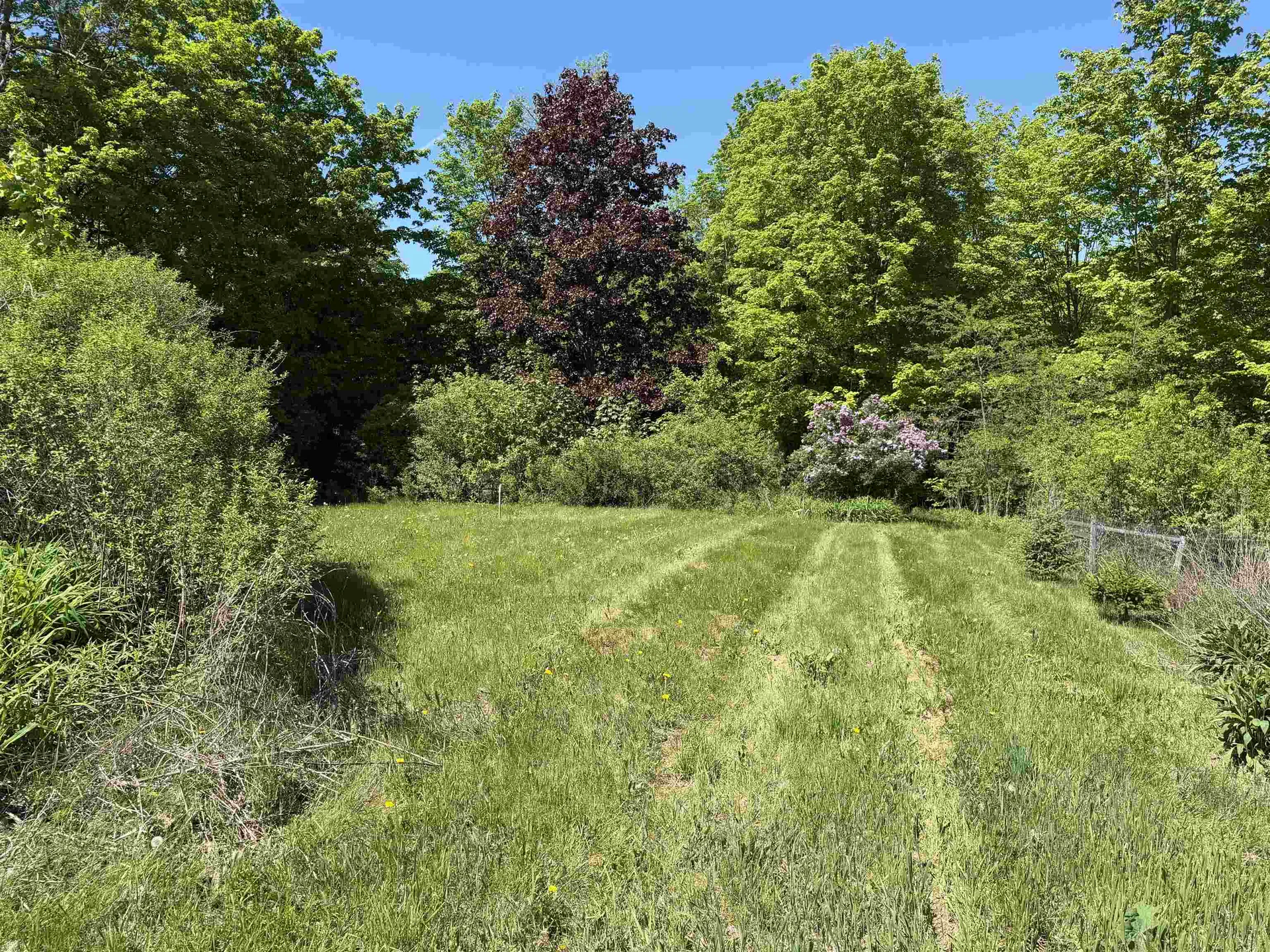 129 Daigneault Hill Road Orwell VT 05760