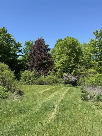 129 Daigneault Hill Road Orwell VT 05760